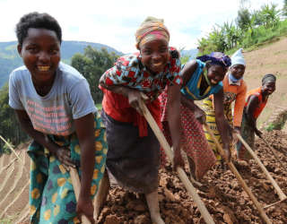 Diese WFP Programm in Ruanda stärkt die Lebensgrundlagen in Rutsiro, West-Ruanda. Foto: WFP/Emily Fredenberg