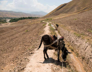 Eine Landschaft zeigt den "Einheitskanal" im Bezirk Kalafgan in der Provinz Takhar in Afghanistan. Foto: WFP/Arete/Andrew Quilty