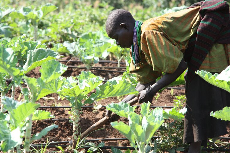 Gemeinsam gegen den Klimawandel in Malawi — wie WFP die Widerstandsfähigkeit von Kleinbauern stärkt