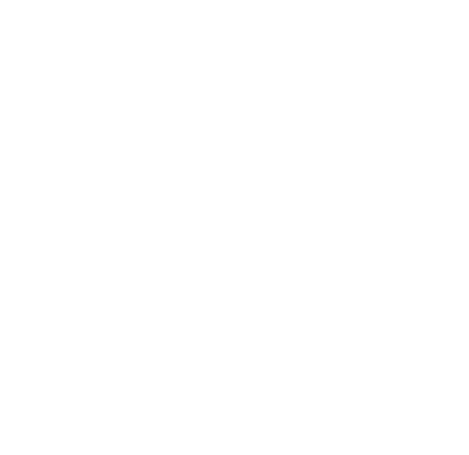 25 euros