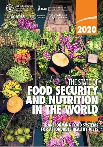 UN-Bericht warnt: während immer mehr Menschen an Hunger und Mangelernährung leiden, wird eine Welt ohne Hunger bis 2030 zusehends unerreichbar