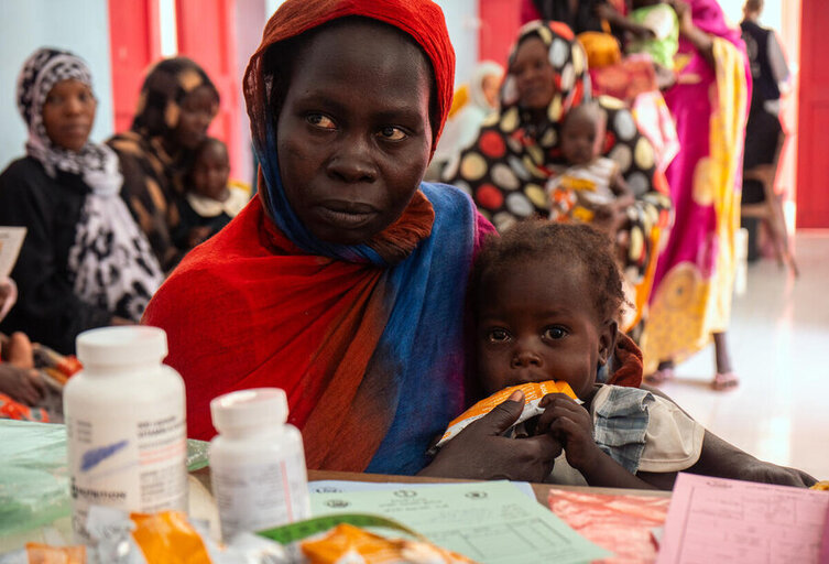 Sudan steht vor einer beispiellosen Hungerkatastrophe, warnen Chefs der UN-Organisationen