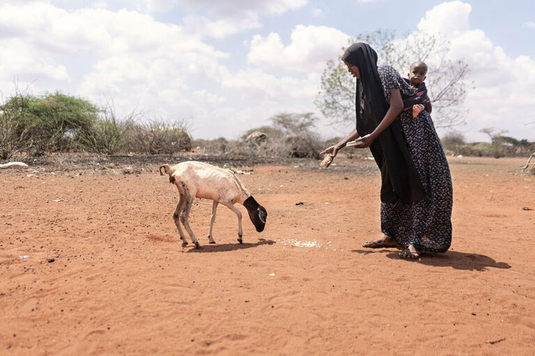  Kein Regen und keine Ressourcen: Millionen von Familien am Horn von Afrika steuern auf Katastrophe zu