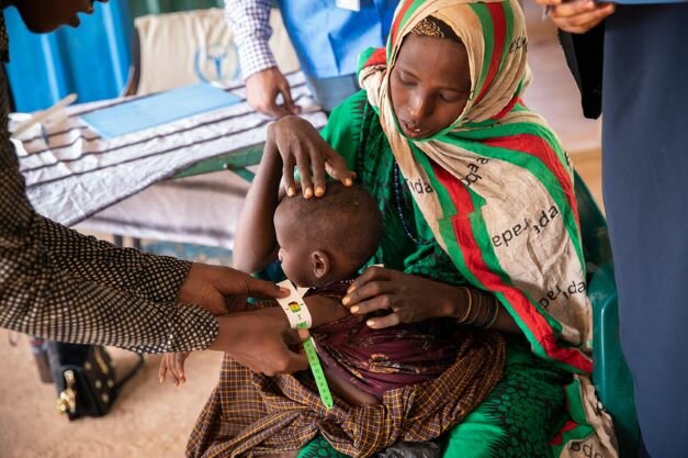 Hunger verschärft sich in 19 “Hunger Hotspots“, am Horn von Afrika droht Hungersnot – neuer Bericht