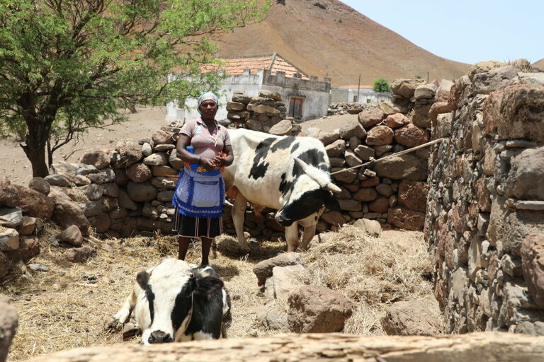 Beispielloser Hunger auf den Kap Verden aufgrund von Dürre, COVID-19 und der Ukraine-Krise 