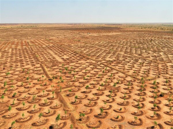 Böden im Niger werden mit Hilfe von WFP wieder fruchtbar gemacht