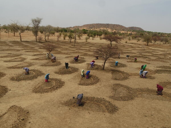 Halbmondtechnik im Sahel