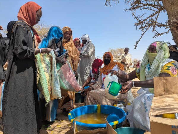 Korsigue distribution