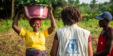 N'yayh Sankoh (links), ein Kleinbauer in der Gemeinde Tawuya (Sierra Leone), trägt frisch geerntete Kartoffelblätter und spricht mit WFP-Mitarbeitern. 