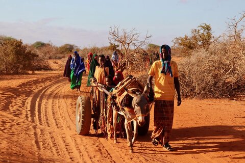 Hungerkrise in Somalia: Flucht, Dürre und Hoffnung