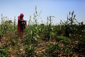 Zahl der Hungernden im Südsudan steigt dramatisch