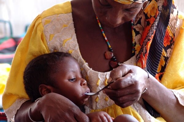 Dürre treibt 10 Mio. Menschen in Westafrika in den Hunger