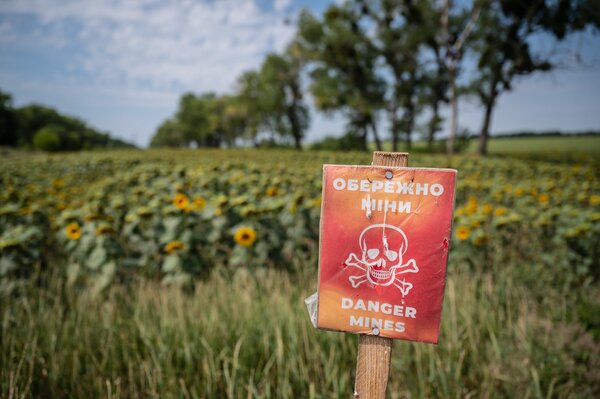 Foto: ©FAO/Viacheslav Ratynskyi