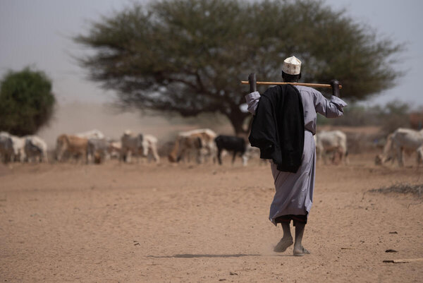  Abdulahi Heben, 70 a father of 21 moved his entire family to a near by river side to save his livestocks which is highly affected by the drought happened in Adadle district, Biyolow Kebele in Somali region of Ethiopia.