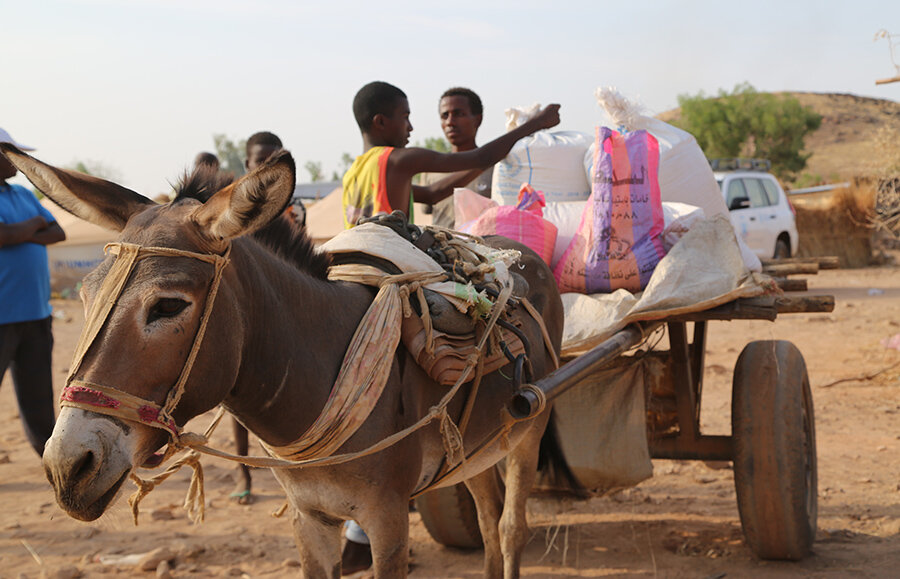 donkeys pull bags of food