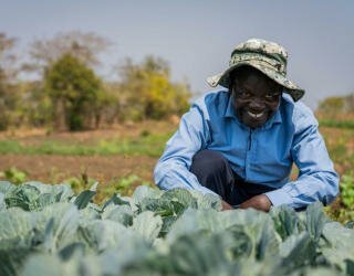 Das Bewässerungssystem von Kakhobwe im Rahmen des vom DFID finanzierten Prosper-Programms in Malawi. Foto: WFP/Badre Bahaji