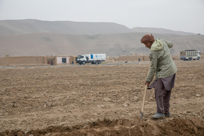 Farming project in Balkh Afghanistan