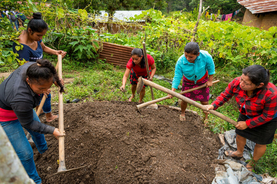 Soil rehabilitation project in Guatemala