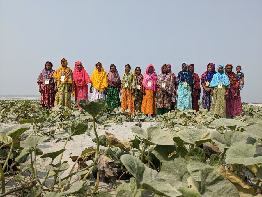 Frauen stehen im Kürbisfeld auf einer Sandbank in Bangladesch