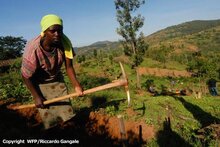 Wetterversicherungen - ein Rettungsanker für Bauern in Entwicklungsländern