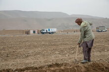 Foto: WFP/Julian Frank, Menschen in der Landwirtschaft in der Provinz Balkh mit einem WFP-Konvoi im Hintergrund
