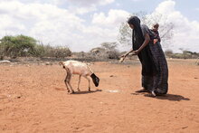 WFP/Arete/ Fredrik Lerneryd. Eine Frau füttert ihre Ziege vor ihrem Haus in Wajir im Nordosten Kenias