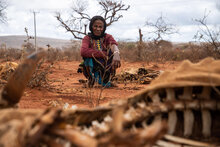  WFP/Michael Tewelde. Women assisted under WFP's safety-net program seen seated next to her animal corpuses in which she lost more than 20 of her cattle because of the back to back drought.