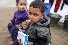 Neuer Bericht: In Nord-Gaza steht Hungersnot unmittelbar bevor