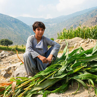 In der Provinz Kunar machen Resilienz-Projekte die Bevölkerung krisenfester.